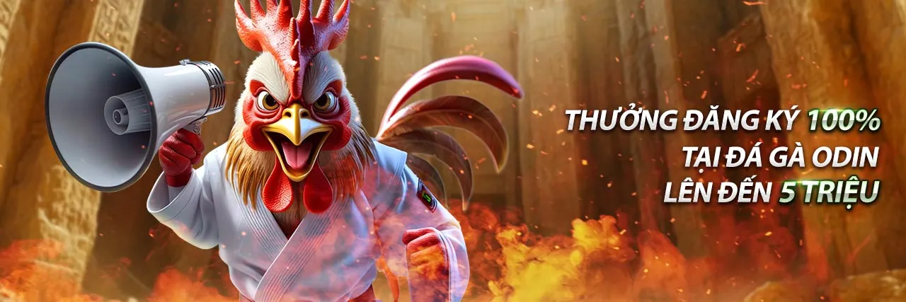 Đội ngũ hỗ trợ khách hàng 55fit win chuyên nghiệp 24/7