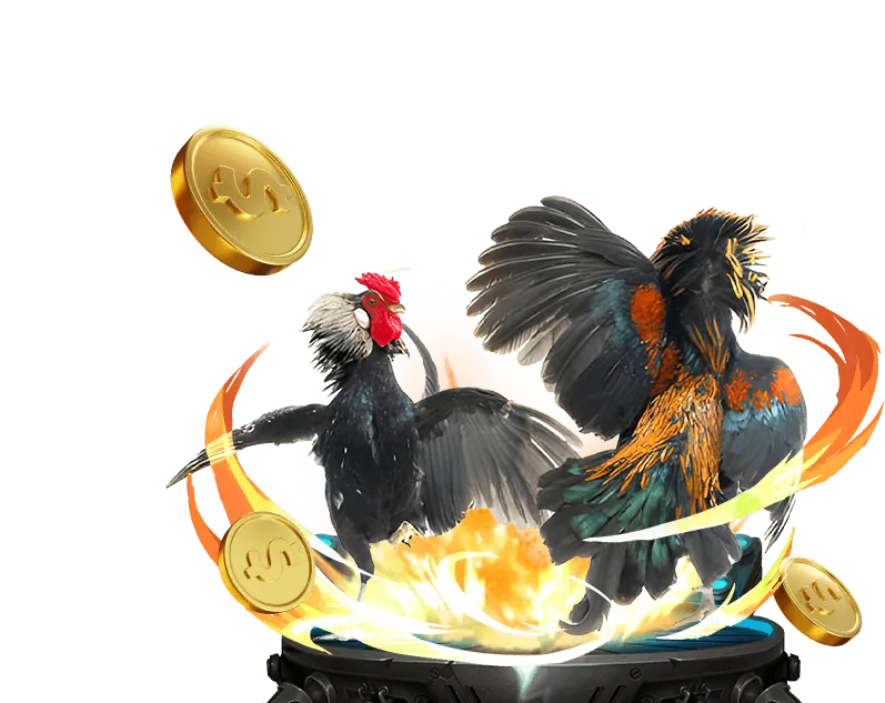 Ưu điểm vượt trội của 55fit win