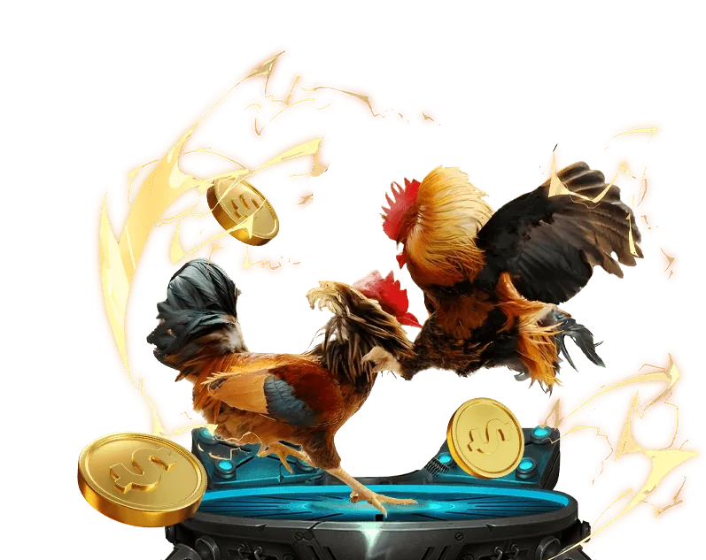 Lợi Ích Khi Cá Cược Tại 55fit win